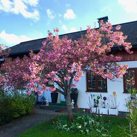 Haus Belli Villa Бад Аузее Екстериор снимка
